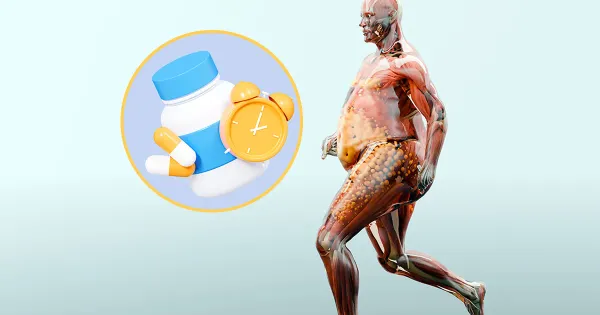 La hormona natural que combate el daño muscular causado por la ‘diabesidad’
