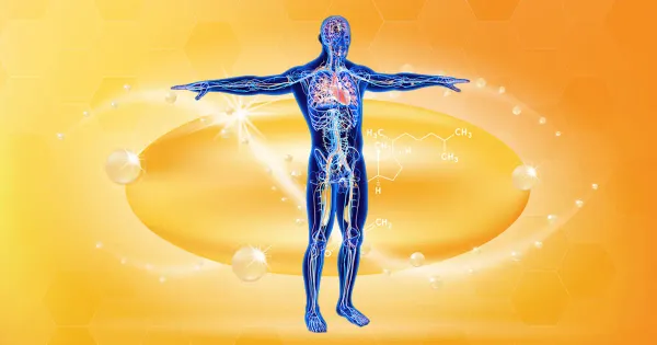 La vitamina que su sistema circulatorio necesita para no colapsar