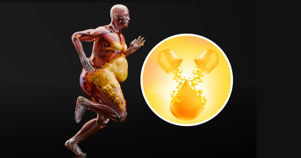 El aceite que fortalece su cuerpo al reducir grasa, inflamación y estrés celular