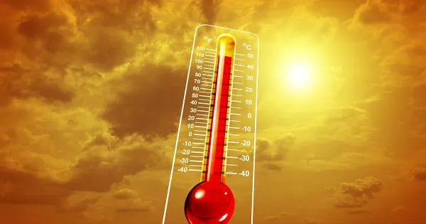 5 claves sencillas para sobrevivir al fenómeno extremo que amenaza este verano