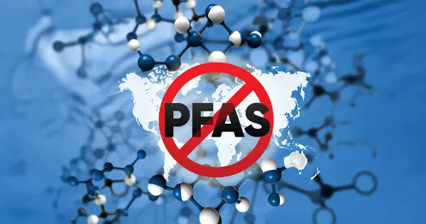 La sustancia persistente que silenciosamente se instaló en nuestro cuerpo