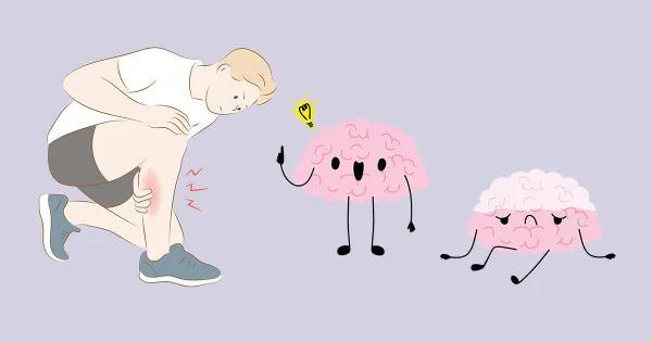 ¿Qué revela esta zona del cuerpo sobre el futuro de su cerebro?