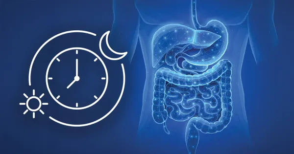 Su intestino depende de un "proceso de reparación silencioso" que se pierde con estos hábitos cotidianos