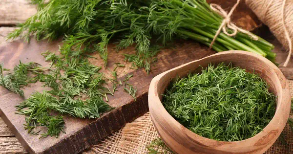 Más allá del sabor: lo que ocurre en su digestión cuando incorpora esta hierba