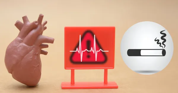 El mito del consumo ligero se derrumba: incluso “poco” eleva el riesgo cardíaco hasta un 50%