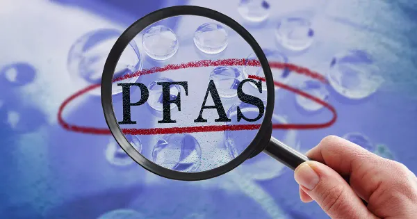 Un contaminante persistente que triplica el riesgo de daño hepático